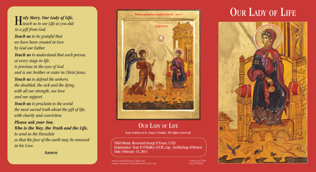 *ENGLISH/SPANISH* Our Lady of Life Tri-fold Prayer Card (English/Spanish)